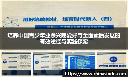 培养中国青少年业余兴趣爱好与全面素质发展的有效途径与实践探索