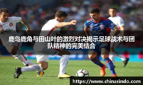 鹿岛鹿角与田山叶的激烈对决揭示足球战术与团队精神的完美结合