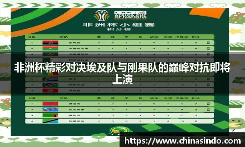 非洲杯精彩对决埃及队与刚果队的巅峰对抗即将上演