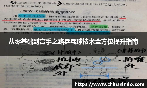 从零基础到高手之路乒乓球技术全方位提升指南