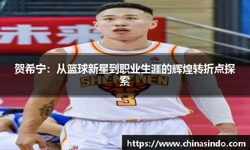 贺希宁：从篮球新星到职业生涯的辉煌转折点探索